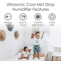 Crane Drop 1 Gallon Ultrasonic Cool Mist Humidifier - Clear/White