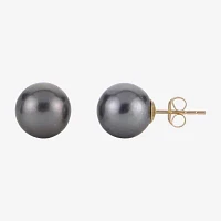 Tahitian Pearl 10-11mm 10K Yellow Gold Stud Earrings