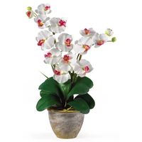 Nearly Natural Double Phalaenopsis Silk Orchid Flower Arrangement