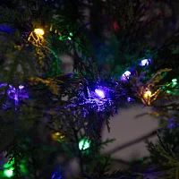 Nearly Natural Pre-Lit Artificial Park City Pine With 200 Multicolored Led Dewdrop Lights 5 Foot Christmas Tree