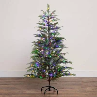 Nearly Natural Pre-Lit Artificial Park City Pine With 200 Multicolored Led Dewdrop Lights 5 Foot Christmas Tree