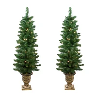 Northlight Whitmire 4 Foot Pre-Lit Pine Christmas Tree