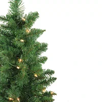 Northlight Whitmire 4 Foot Pre-Lit Pine Christmas Tree