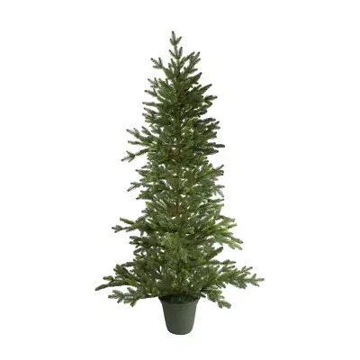 Northlight Potted Noble Pine Unlit 6 Foot Pine Christmas Tree