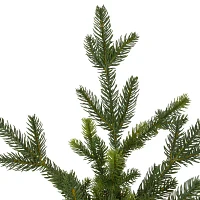 Northlight Potted Noble Pine Unlit 6 Foot Pine Christmas Tree