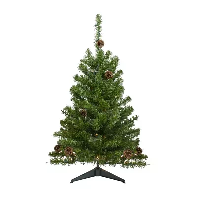 Northlight Canadian 3 Foot Pre-Lit Pine Christmas Tree