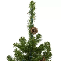 Northlight Canadian 3 Foot Pre-Lit Pine Christmas Tree