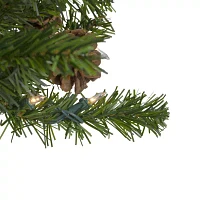 Northlight Canadian 3 Foot Pre-Lit Pine Christmas Tree