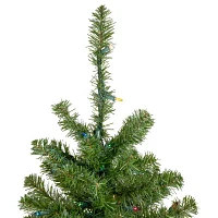 Northlight Canadian 5 Foot Pre-Lit Pine Christmas Tree