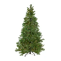 Northlight 6 1/2 Foot Pre-Lit Pine Christmas Tree