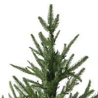 Northlight Silverthorne 6 1/2 Foot Pre-Lit Fir Christmas Tree