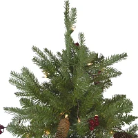 Northlight Medium 6 1/2 Foot Pre-Lit Pine Christmas Tree