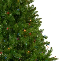 Northlight Northern 6 1/2 Foot Pre-Lit Pine Christmas Tree