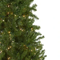 Northlight Pencil Canadian 7 1/2 Foot Pre-Lit Pine Christmas Tree