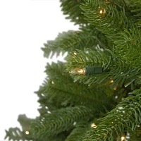 Northlight Palisades Fir 6 Foot Pre-Lit Fir Christmas Tree