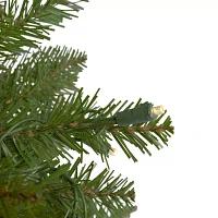 Northlight Northern Pine 9 Foot Pre-Lit Pine Christmas Tree