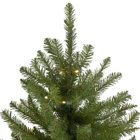 Northlight Northern Pine 9 Foot Pre-Lit Pine Christmas Tree