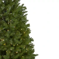 Northlight Northern Pine 9 Foot Pre-Lit Pine Christmas Tree