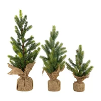 Northlight Mini Pine 1 1/2 Feet Pine Christmas Tree