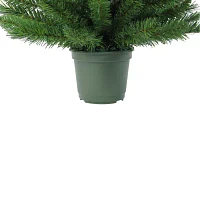 Northlight 3ft Potted Norway Spruce Unlit 3 Foot Spruce Christmas Tree