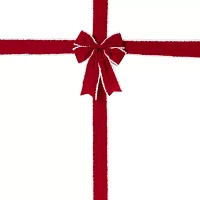 Northlight 14ft Velvet  Door Bow Indoor Ribbon
