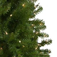 Northlight Full Northern 4 Foot Pre-Lit Pine Christmas Tree