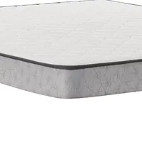 Sealy® Peninsula Medium Tight Top - Mattress Only