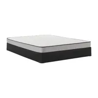 Sealy® Peninsula Medium Tight Top - Mattress + Box Spring