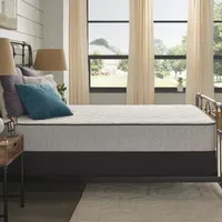 Sealy® Sigmund Soft Tight Top - Mattress + Box Spring