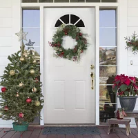 Northlight Frosted Pine And Cone Indoor Christmas Wreath