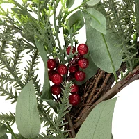 Northlight Mixed Foliage And Red Berries Indoor Christmas Wreath