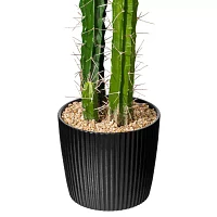 Vickerman 46" Green Cactus With Black Planters Pot Artificial Plant