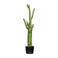 Vickerman 46" Green Cactus With Black Planters Pot Artificial Plant