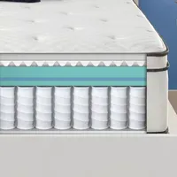 Simmons Beautyrest® Dreamwell Vacay Plush Pillow Top - Mattress Only