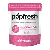 Pop Band Watermelon Antibacterial Hand Wipes Hand Wipes