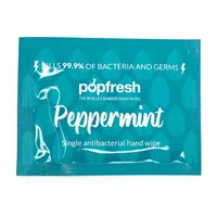 Pop Band Peppermint Antibacterial Hand Wipes Hand Wipes