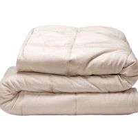 Tranquility 18lb Weighted Plush Blanket