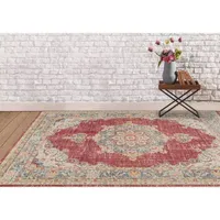 Amer Rugs Cienieka Hiromi Vintage Medallion Indoor Rectangular Accent Rug