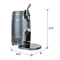 5L Mini Beer Keg Cooler with Gravity and Pressurized Taps