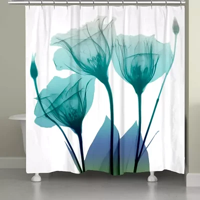 Laural Home Ombre Bloom Shower Curtain