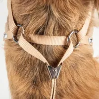 Pet Life Luxe 'Furracious' 2-In-1 Mesh Reversed Adjustable-Leash W/ Removable Fur Collar Dog Harness