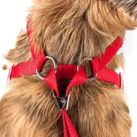 Pet Life Luxe 'Spawling' 2-In-1 Mesh Reversed Adjustable-Leash W/ Fashion Bowtie Dog Harnesses