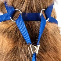 Pet Life Luxe 'Spawling' 2-In-1 Mesh Reversed Adjustable-Leash W/ Fashion Bowtie Dog Harnesses