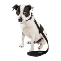 Pet Life Aero Mesh 2-In-1 Dual Sided Comfortable And Breathable Adjustable Mesh-Collar Dog Leash