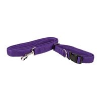 Pet Life Aero Mesh 2-In-1 Dual Sided Comfortable And Breathable Adjustable Mesh-Collar Dog Leashes