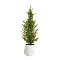 Nearly Natural Faux In Planter 2 Foot Cedar Christmas Tree