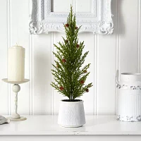 Nearly Natural Faux In Planter 2 Foot Cedar Christmas Tree