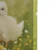 Madison Park 16 X 16 Sunshine Animals Canvas Art