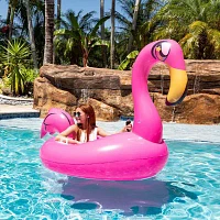 PoolCandy Tube Runner - Special Edition Motorized Flamingo