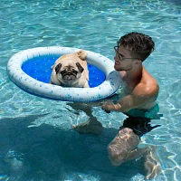 PoolCandy Pet Float - Small To Medium Dogs Up To 35Lbs.